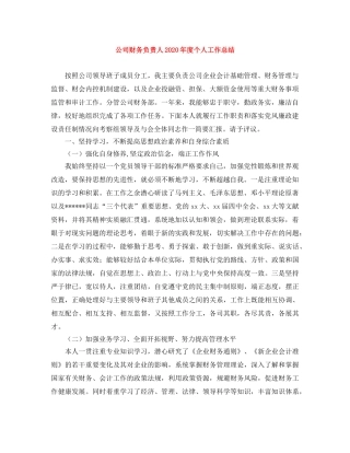 公司财务负责人2020年度个人工作总结 