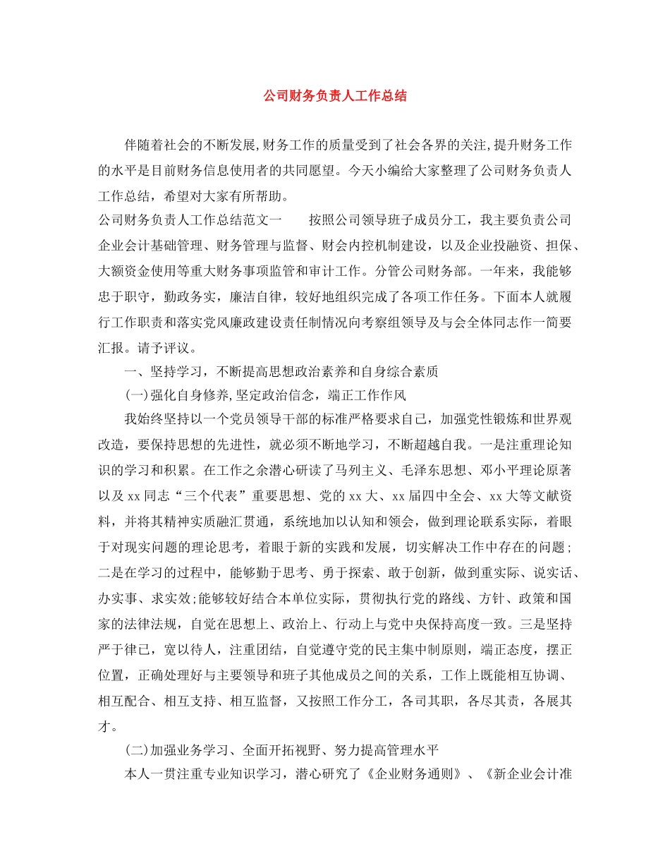 公司财务负责人工作总结 _第1页
