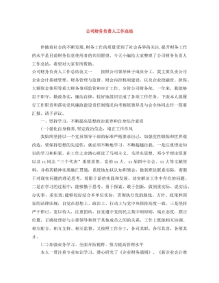 公司财务负责人工作总结 