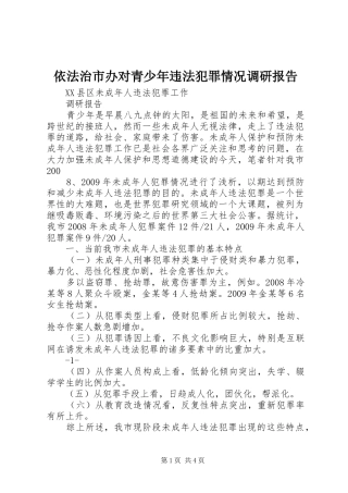 依法治市办对青少年违法犯罪情况调研报告