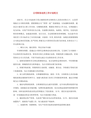 公司财务处的工作计划范文 