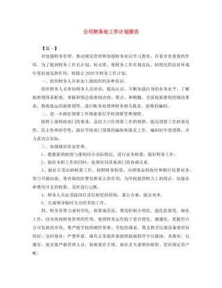 公司财务处工作计划报告 