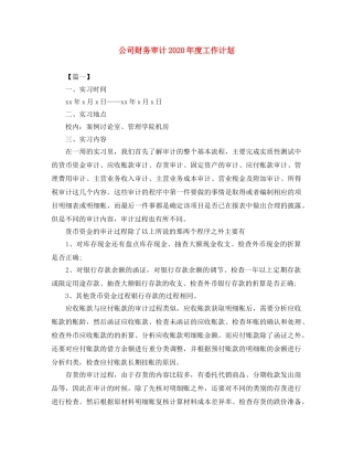 公司财务审计2020年度工作计划 