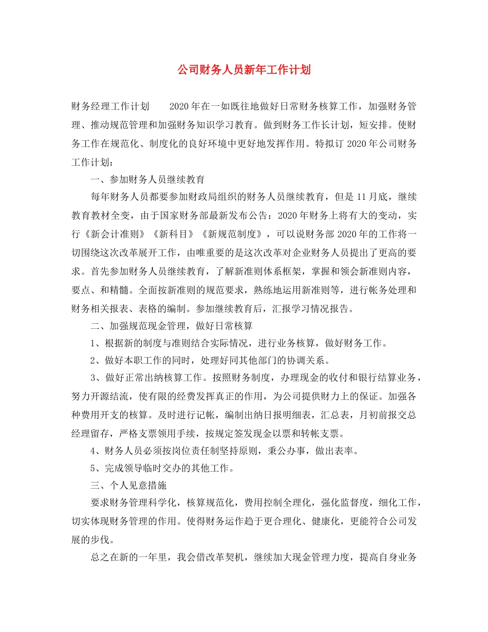 公司财务人员新年工作计划 _第1页