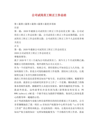 公司试用员工转正工作总结 
