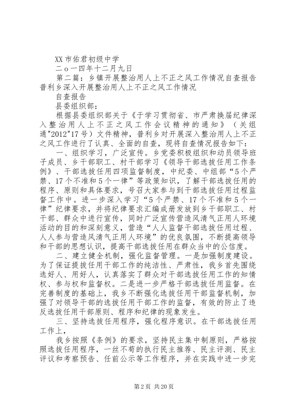 佑君中学：开展选人用人不正之风专项整治工作：自查报告及整改措施_第2页