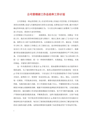 公司营销部工作总结和工作计划 