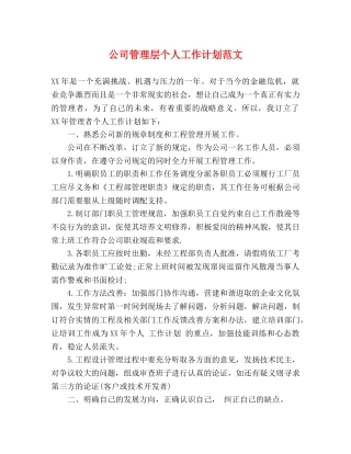 公司管理层个人工作计划范文 