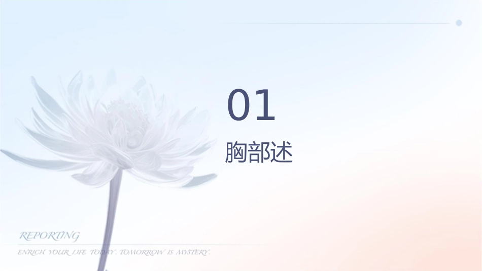 胸部损伤病人要点护理课件_第3页