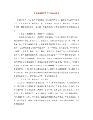 公司税务年度个人工作总结范文 