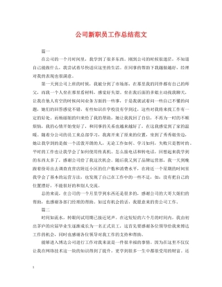公司新职员工作总结范文 
