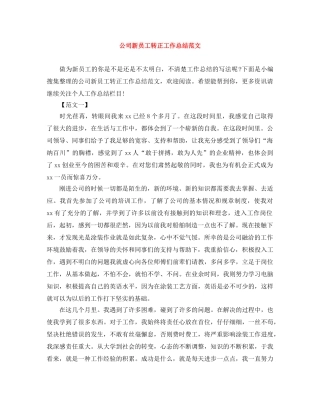 公司新员工转正工作总结范文 