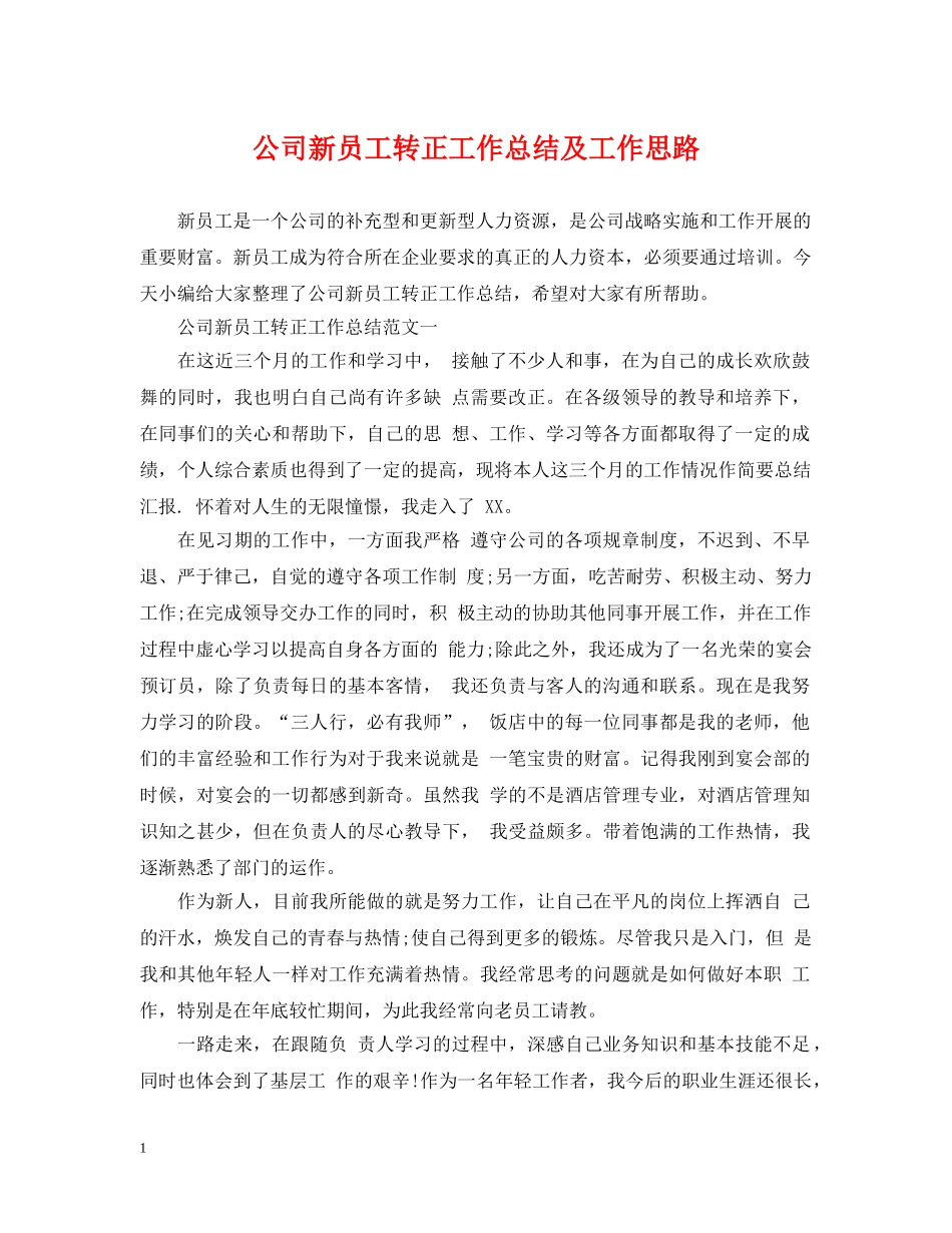 公司新员工转正工作总结及工作思路 _第1页