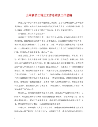 公司新员工转正工作总结及工作思路 