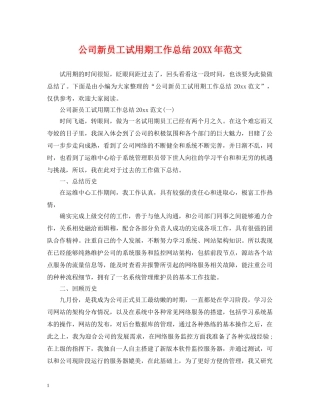 公司新员工试用期工作总结20XX年范文 