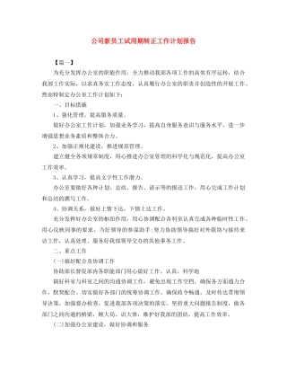 公司新员工试用期转正工作计划报告 