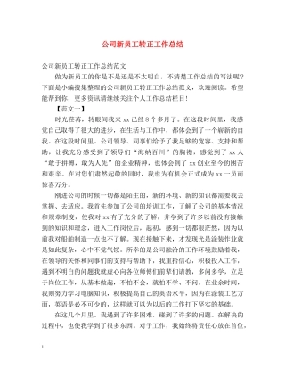 公司新员工转正工作总结 