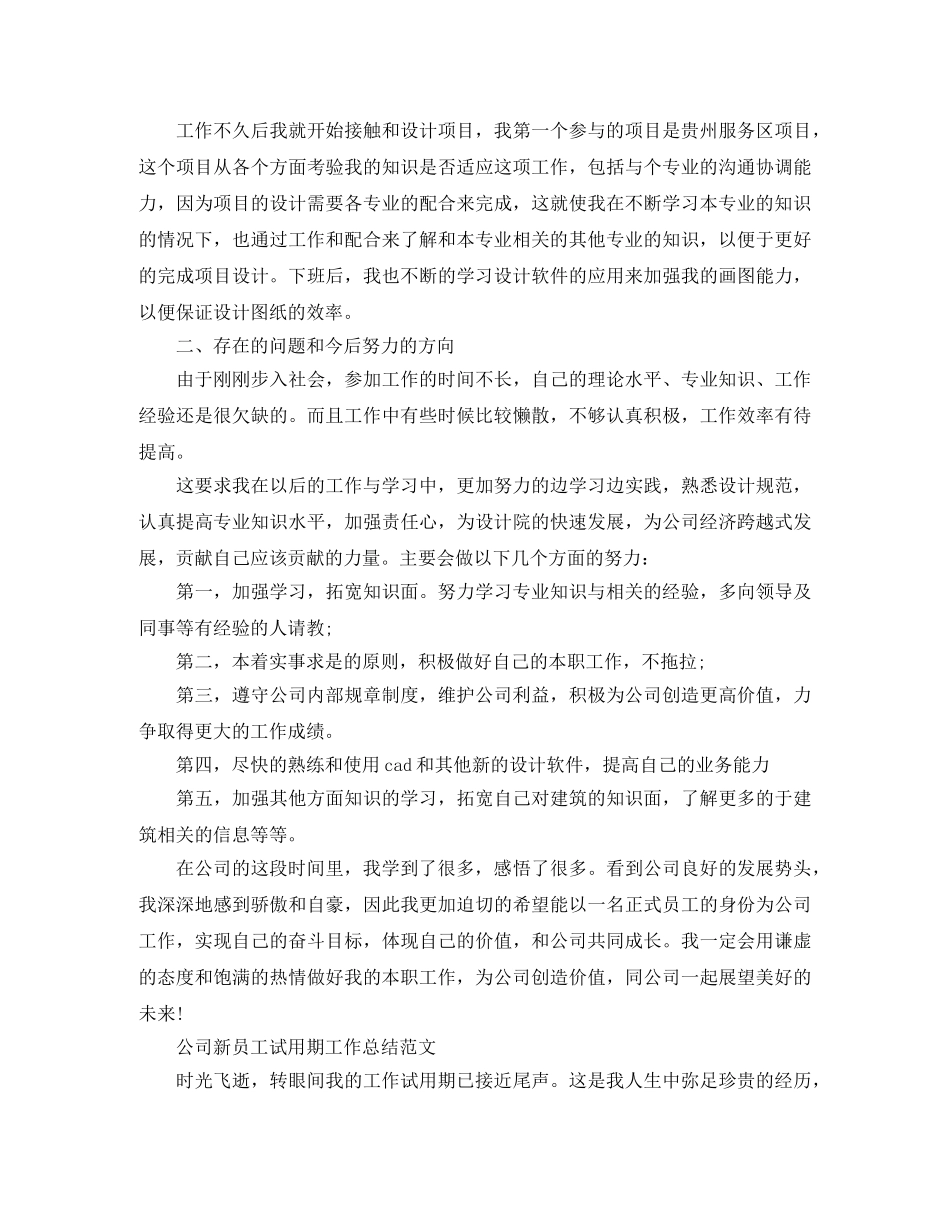 公司新员工试用期的工作总结范文 _第2页
