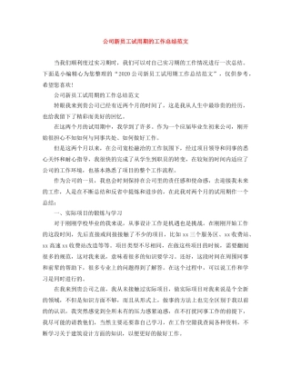 公司新员工试用期的工作总结范文 