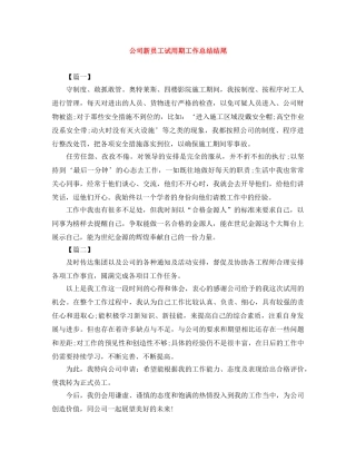 公司新员工试用期工作总结结尾 