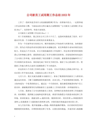 公司新员工试用期工作总结20XX年 