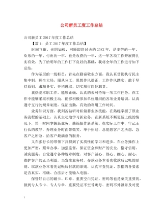 公司新员工度工作总结 