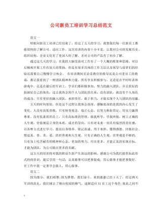 公司新员工培训学习总结范文 