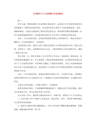 公司新员工个人试用期工作总结格式 