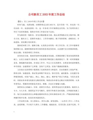 公司新员工20XX年度工作总结 