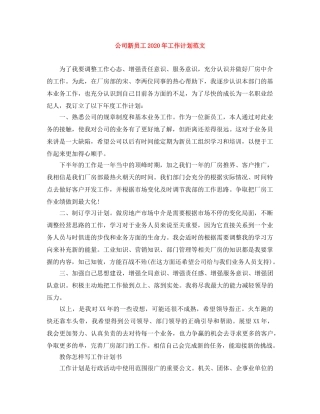 公司新员工2020年工作计划范文 
