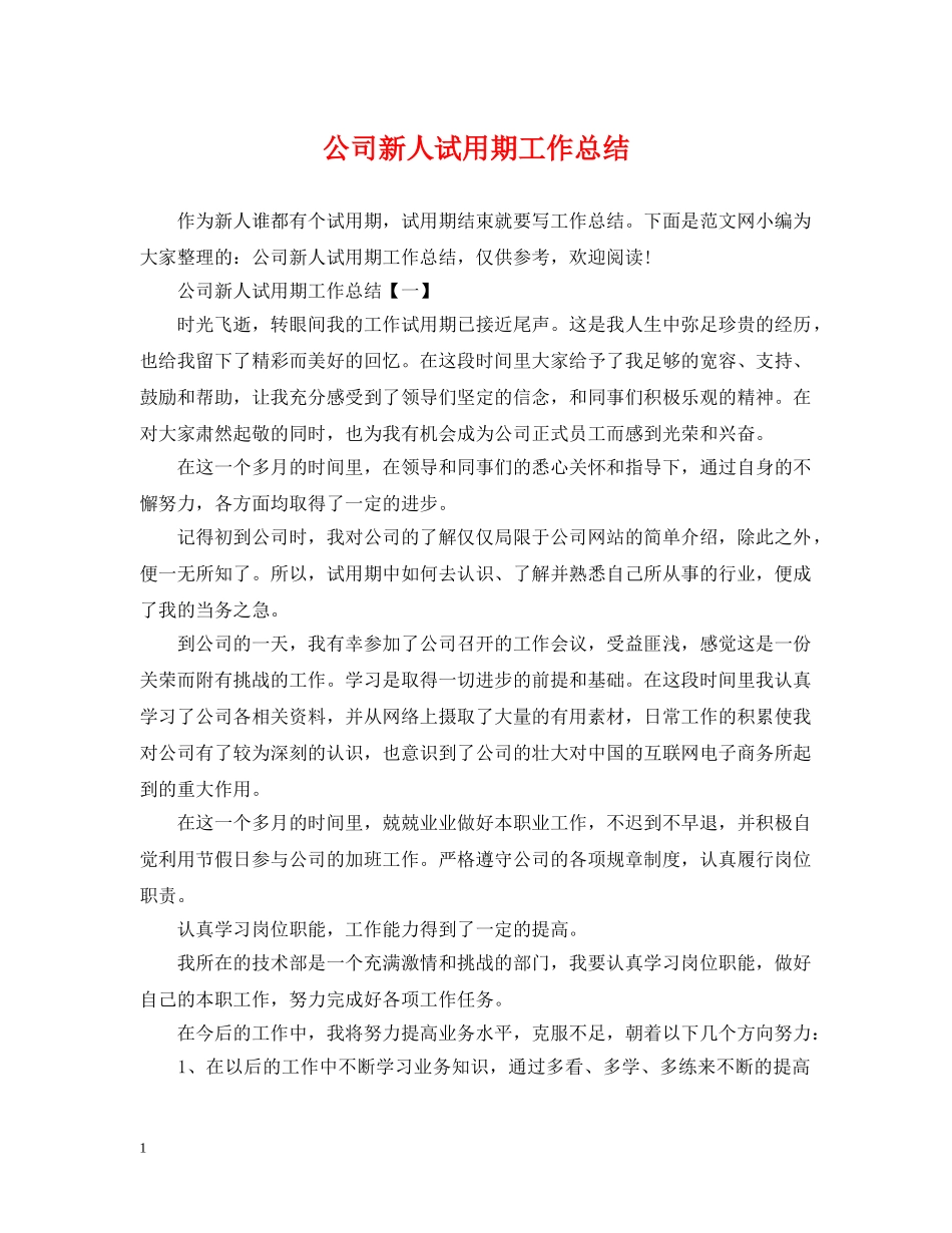 公司新人试用期工作总结 _第1页