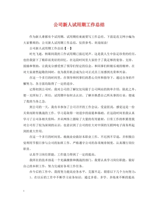 公司新人试用期工作总结 