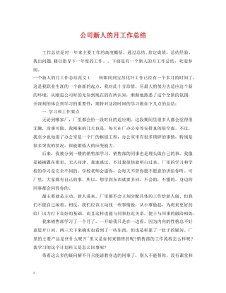 公司新人的月工作总结 