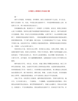 公司新人入职培训工作总结三篇 