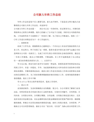 公司新人年终工作总结 
