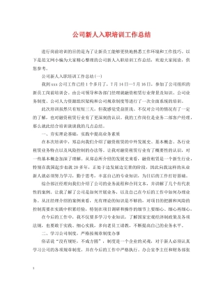 公司新人入职培训工作总结 