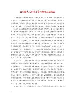公司新人入职员工实习培训总结报告 