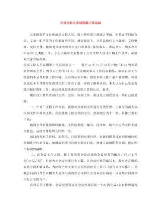 公司文职人员试用期工作总结 