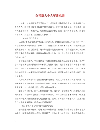 公司新人个人年终总结 