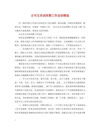 公司文员试用期工作总结精选 