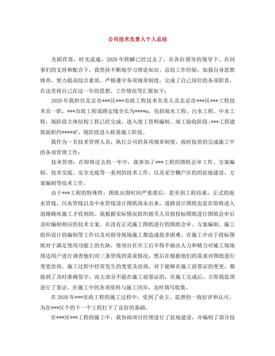 公司技术负责人个人总结 _第1页