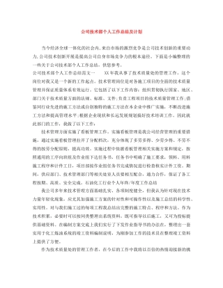 公司技术部个人工作总结及计划 