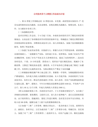 公司技术员个人季度工作总结与计划 