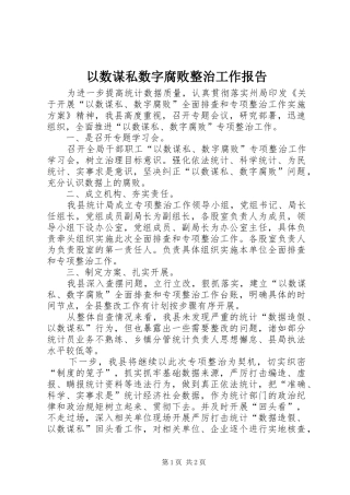 以数谋私数字腐败整治工作报告