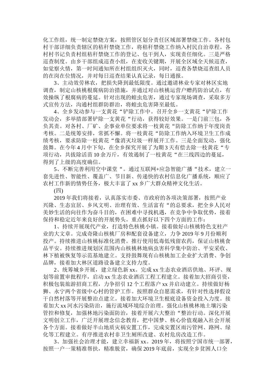 乡人民政府年工作总结及年工作计划_第3页