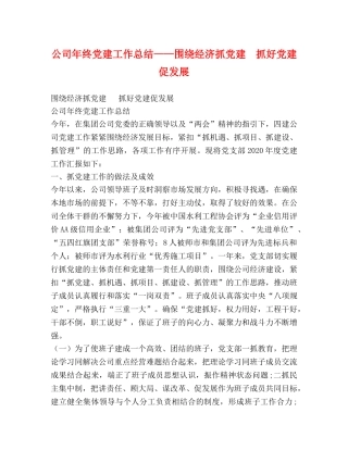 公司年终党建工作总结——围绕经济抓党建  抓好党建促发展 