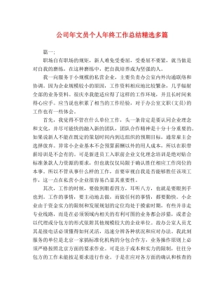 公司年文员个人年终工作总结精选多篇 