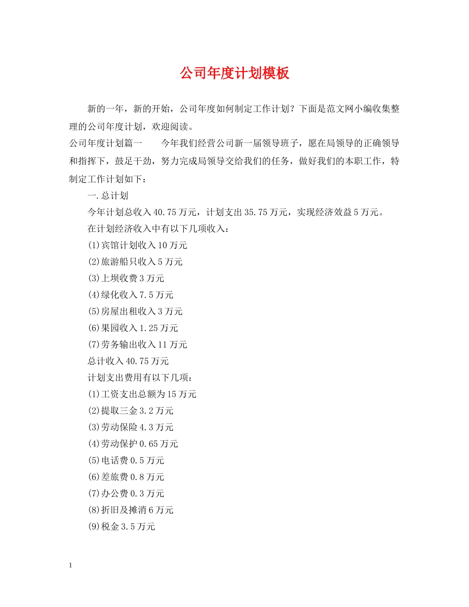 公司年度计划模板 _第1页