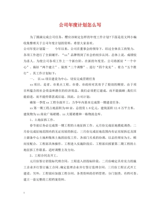 公司年度计划怎么写 