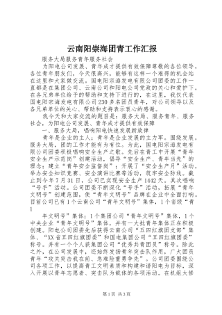 云南阳崇海团青工作汇报